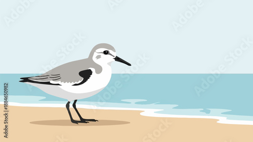 A small sandpiper bird stands on a sandy beach with gentle waves lapping