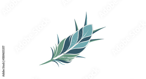 Stylized blue green feather illustration on white background.