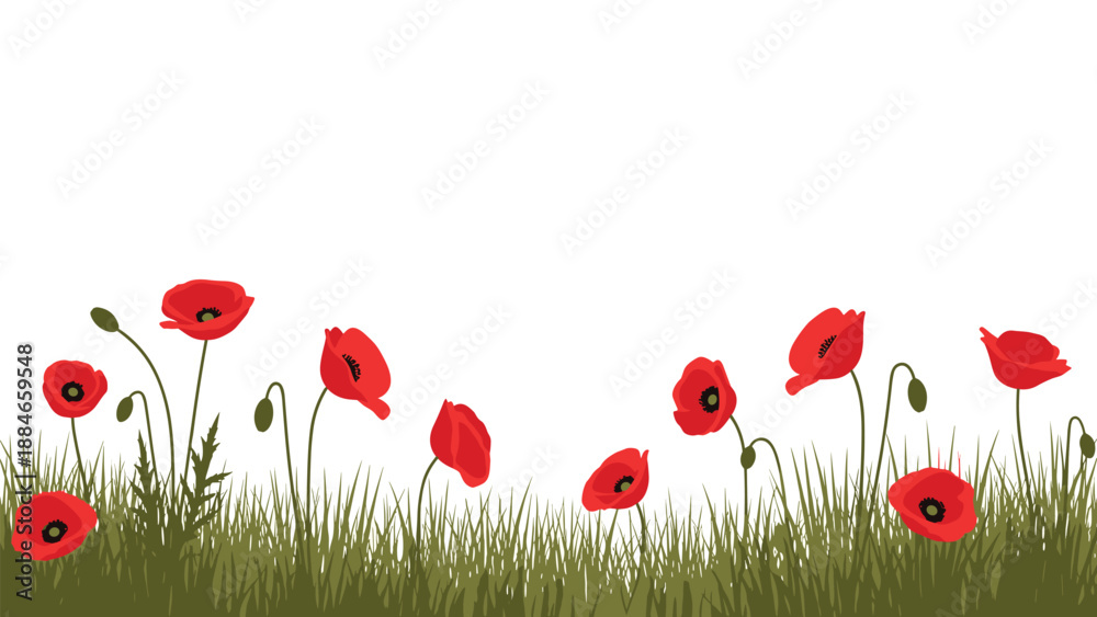 Obraz premium Elegant border or scattered arrangement of vibrant red poppy flowers with delicate green stems and leaves, perfect as a design element.