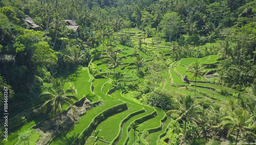 Schilderij op canvas AERIAL: Flying over popular tourist attraction of vast meandering rice terraces