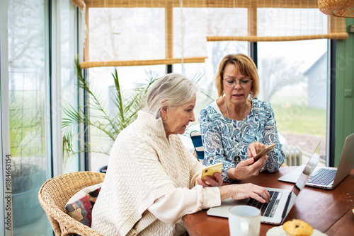 Cuadro en lienzo Senior women using smartphones and laptop at home