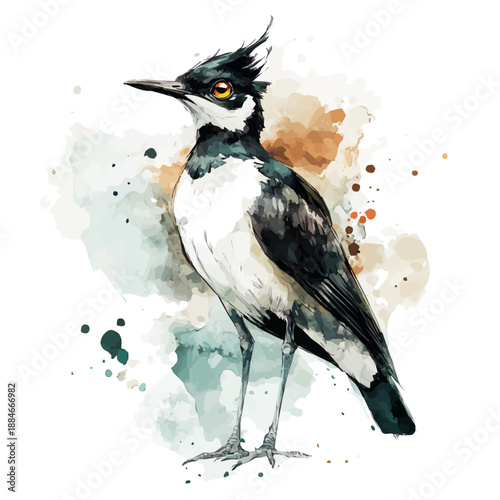 Photography Lapwing, clean semi-realistic fantasy style, soft magical glow, watercolor artwo