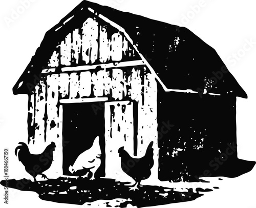 Rustic chicken coop with free range chickens outside the wooden farm shelter