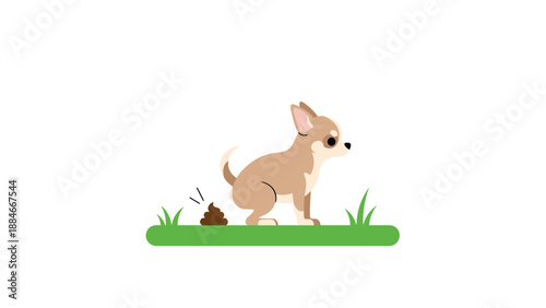 Adorable cartoon chihuahua dog in the act of pooping on a small patch of green grass, illustrating pet waste and owner responsibility.
