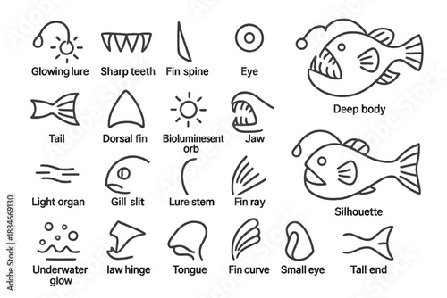 Anglerfish Anatomy Icons. Line style icons of anglerfish anatomy: glowing lure, sharp teeth, fin spine, eye, deep body, tail,