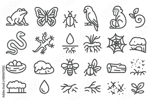 Hidden Ecosystem Icons. Line style icons of Hidden Ecosystems: frog, butterfly, parrot, monkey, snake, lizard, beetle, vine flower