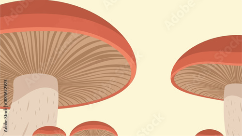 Close up view of multiple stylized red mushrooms with gills on light yellow background