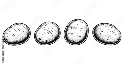 Vintage engraving of four whole potatoes in black and white