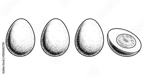 Hand-drawn egg collection: whole and halved