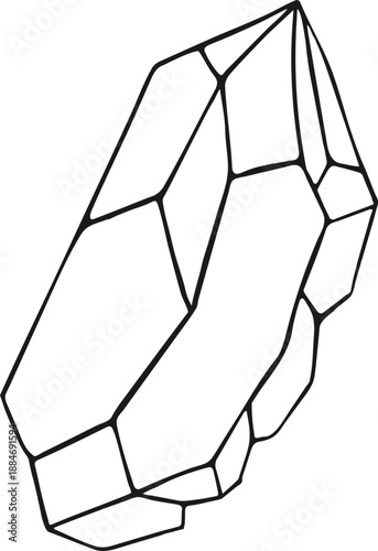 Elegant flowers minimalist drawing