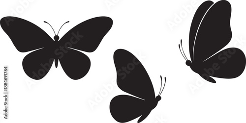 3 Butterflies in Flying and Gliding Poses — Black and White Silhouette Vector Illustration for Nature Insect Design