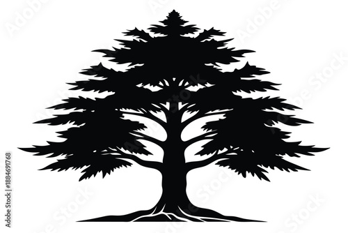 cedar silhouette line art vector illustration with a white background