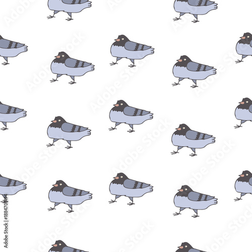 Ruffled pigeons. Seamless vector pattern. It can be used for any print.