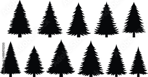 Ten black evergreen trees arranged in two rows of five on white background coniferous