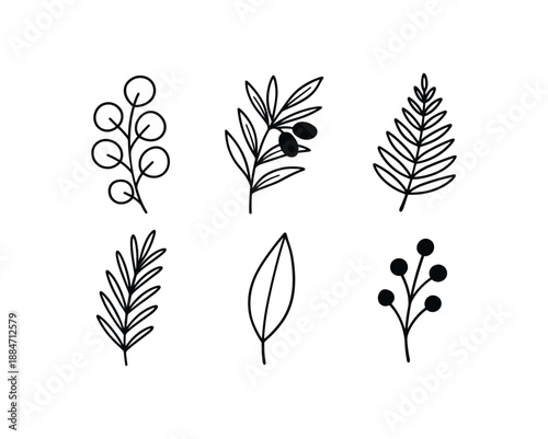 six gentle foliage accents eucalyptus coin leaves olive branch fern frond rosemary sprig laurel leaf tiny berries bold black outlines minimal detail flat vector illustration no color