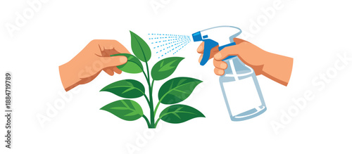 Flat vector illustration of hands misting plant leaves with spray bottle without label isolated on pure white slightly style high quality no texture no grain