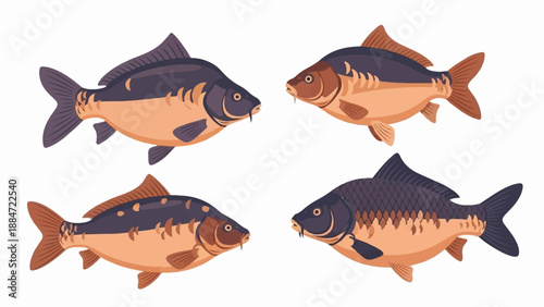 Four stylized carp fish shown in pixel art style on a white background