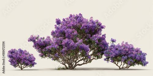 Transparent PNG available
Set of Rhododendron ponticum (called common rhododendron or pontic rhododendron) isolated png on a transparent background perfectly cutout high resolution 