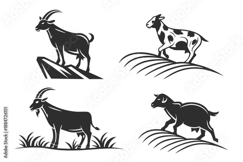 Placeholder image display