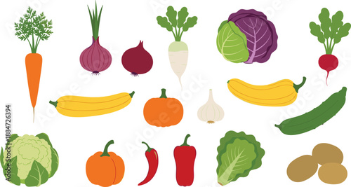 Large collection of fresh organic vegetables including carrot onion cabbage pumpkin garlic pepper lettuce potato and cucumber isolated on white background flat vector