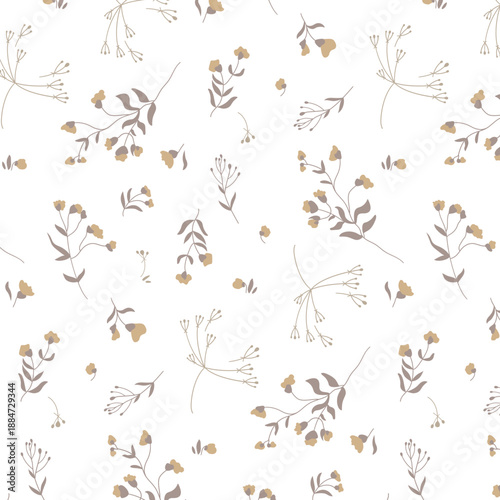 Dry_flowers_plants_01.eps