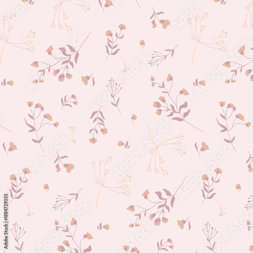 Dry_flowers_plants_02.eps