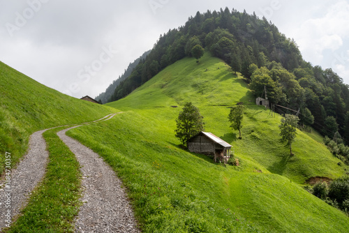 Bild auf Leinwand Gravel path winding through green alpine hills in Isenthal, Uri, Switzerland