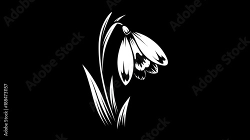 Stylized monochrome illustration of a drooping snowdrop flower with leaves on a stark black background