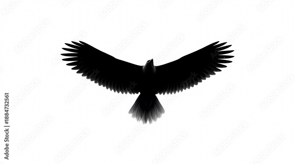 Fototapeta premium Majestic Silhouette: A soaring bird of prey, wings outstretched against the sky, evokes a sense of freedom, strength and soaring.