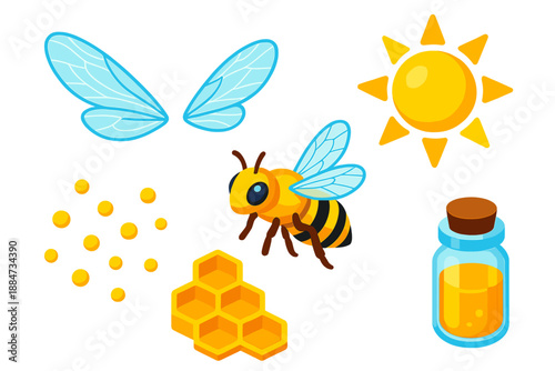 Bee Wings and Honeycomb. Isometric vector illustration set Bee Wing Transparency: delicate transparent wings, miniature bee figure