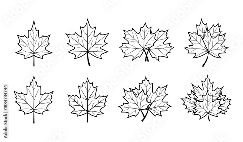 Black and white Canadian maple leaf icon vector set isolated
