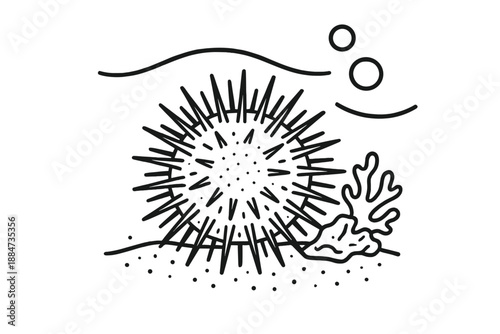 Purple Spine Icon. Line style icons of Purple Spine Cluster: spherical outline, dense spines, seafloor grains, coral chip, water