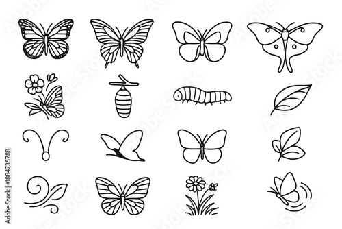 Butterfly Line Icons. Line style icons of butterfly collection: monarch, swallowtail, morpho, luna moth, painted lady, cocoon,