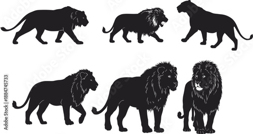 Lion silhouette illustration, walking lion pose, standing lion art, majestic animal design, wildlife vector, safari artwork