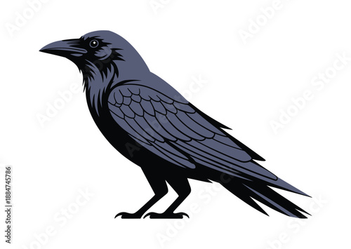 A black raven standing on a white background with its feathers spread out