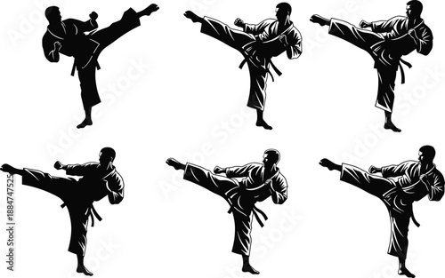 Martial arts silhouettes, karate taekwondo high kick poses, combat sport training, athlete performance, dynamic movement, strength discipline illustration
