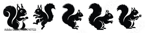Silhouette of goofy startled squirrel vector icon set. Funny silhouette design vector stock illustration