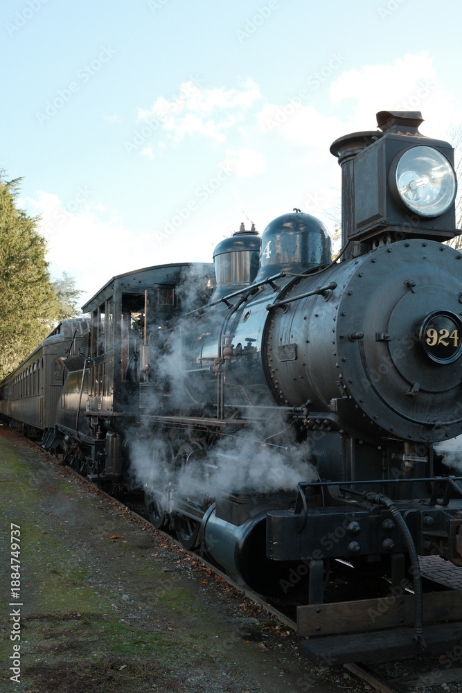 Fototapeta premium old train in the countryside