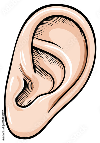 Anatomical human ear illustration in a detailed cartoon vector style