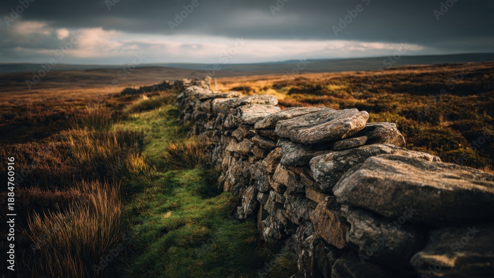 Fototapeta premium Stone Wall Amidst Moorland Landscape