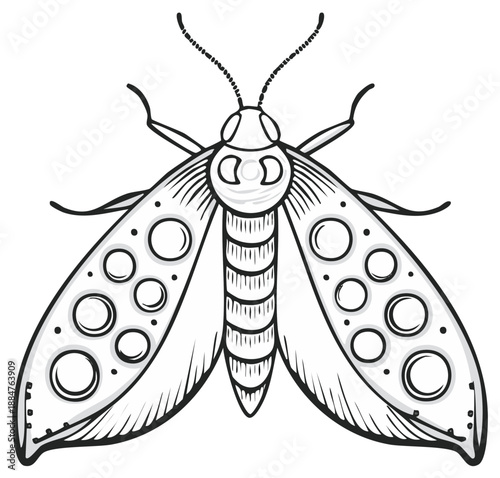 Artistic illustration of a moth with patterned wings and a striped body in a hand drawn style