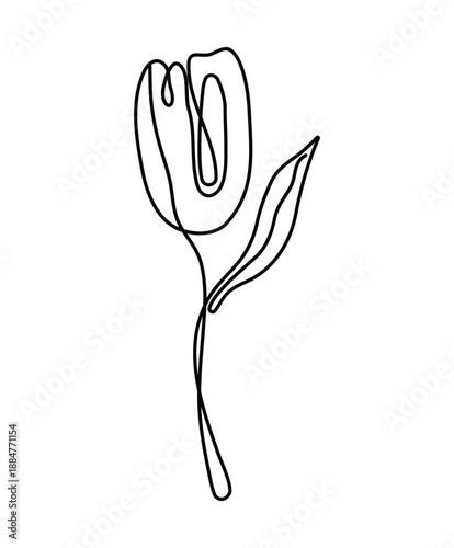 Mother's Day tulip line art with flowing continuous drawing. Elegant floral outline illustration perfect for greeting cards, posters, gifts for moms. Isolated doodle vector illustration.