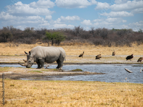 close-up view of fresh, raw red snapper or sea bream fish on a bed of crushed ice at a fish market or grocery store. Ready for cooking