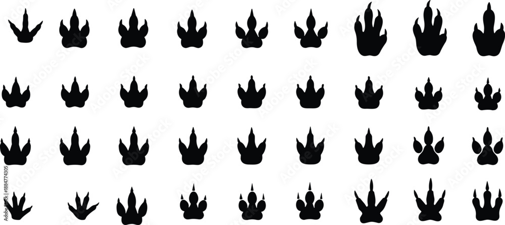 Fototapeta premium Animal Footprint Silhouette Collection Featuring 40 Unique Tracks Including Bird, Mammal, Reptile, and Wildlife Icons