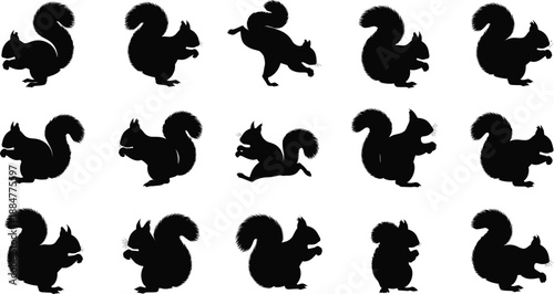 Squirrel Silhouette Collection Featuring Fifteen Unique Poses Including Sitting, Standing, Running, and Jumping with Bushy Tails