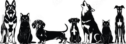 Detailed silhouettes of dogs and cats sitting together in a row, domestic pet collection illustration representing companionship, diversity, animal friendship, and modern pet lifestyle concept