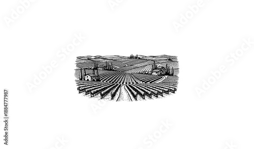 Vintage Tuscany vineyard landscape vector in engraved scratchboard style
