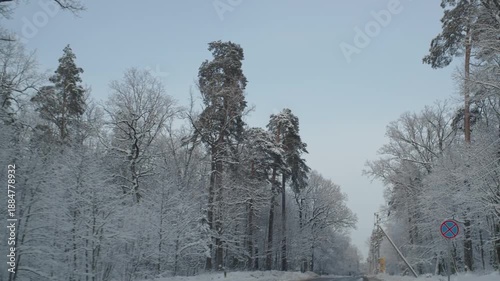 Snowy trees near road through car glass. 60 Fps. ProRes 422 HQ