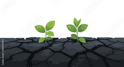 Two fresh green seedlings adorned with water droplets, gracefully pushing through deeply cracked dark earth, symbolizing life, renewal, and enduring hope in challenging landscapes.