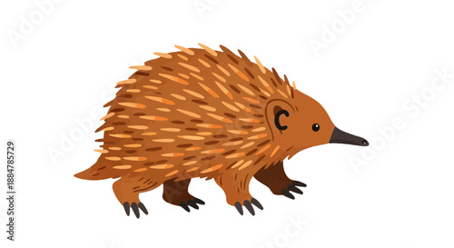An illustration of an echidna walking to the right with spines, viewed from the side in a simple environment